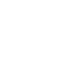 Automotive Icon