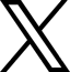 X Icon