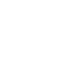 Government Icon