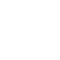 Healthcare Icon