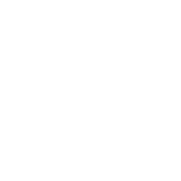 Military Icon