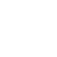 Public Safety Icon